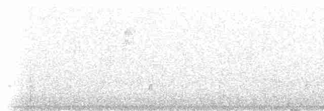 Gobemoucheron tropical (maior) - ML234508