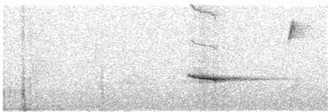 Дрізд-короткодзьоб плямистоволий - ML234513871