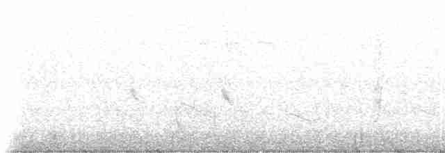Collared Antshrike (shumbae) - ML234528
