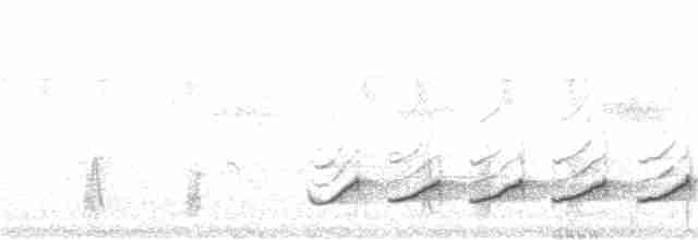 Paradoxornis fléché - ML234538721