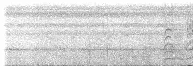 Kara Karınlı Sincap Guguğu - ML234541