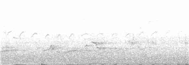 Canada Warbler - ML234576091