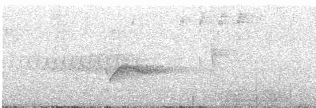 Acadian Flycatcher - ML234584261