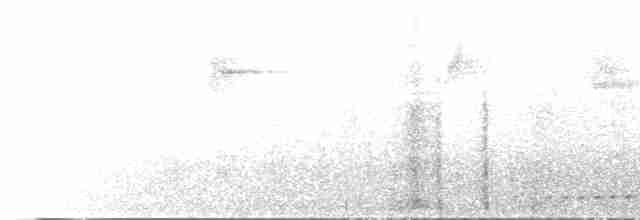 Rufous-tailed Antthrush - ML234602251