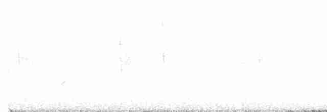 Cerulean Warbler - ML234629991