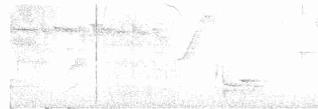 Russet-crowned Warbler - ML234635001