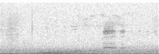 Ring-necked Pheasant - ML234643751