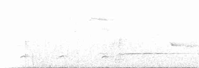 Fan-tailed Cuckoo - ML234645