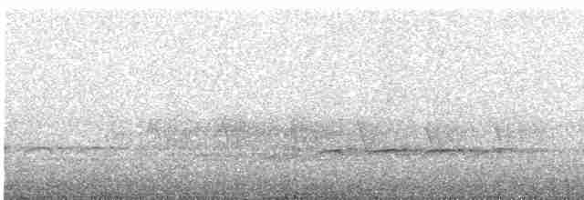 Acadian Flycatcher - ML234713031