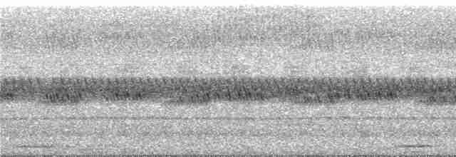 sovka bubuk [skupina boobook] - ML234749
