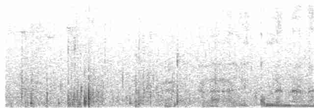 ハイボウシヒメジアリドリ - ML23476001