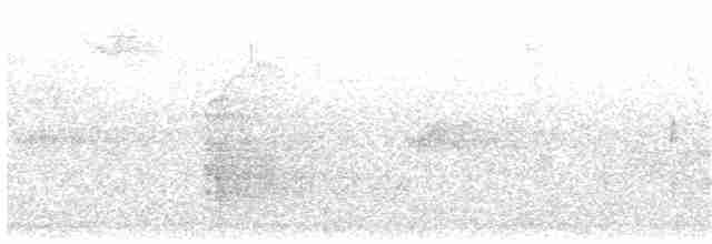 Рибалочка-чубань неотропічний - ML234788481