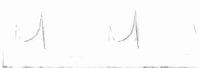 Common Babbler - ML234817031