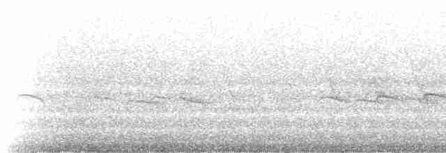 Американский ходулочник (knudseni) - ML234827