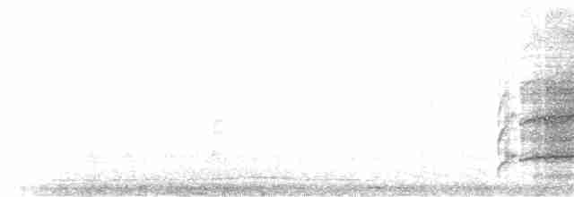 Гавайская лысуха - ML234830