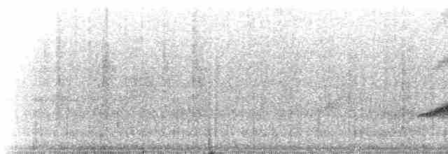 Haubenkleidervogel - ML234835