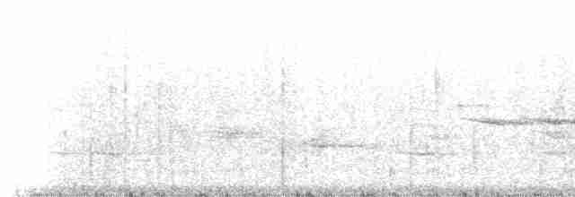 Haubenkleidervogel - ML234838