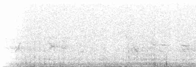 Haubenkleidervogel - ML234841