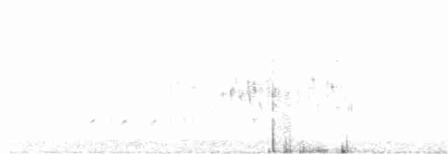 Bataklık Çıtkuşu - ML234911651