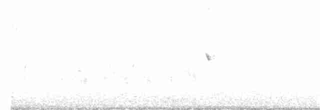Черноголовый толстонос - ML234950191