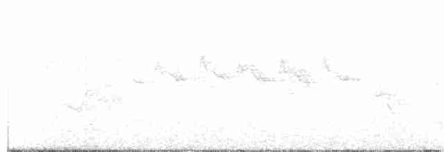 Blackburnian Warbler - ML234987871