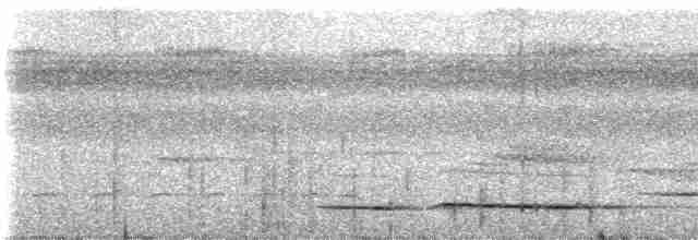 Fahlbrust-Ameisenpitta - ML234994