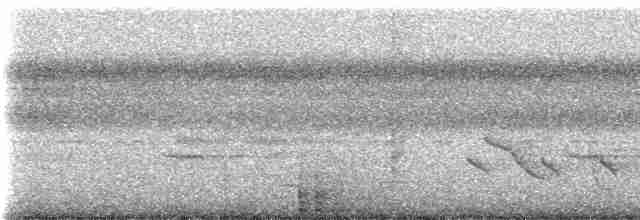skjeggmaursmett (obscura) - ML235032