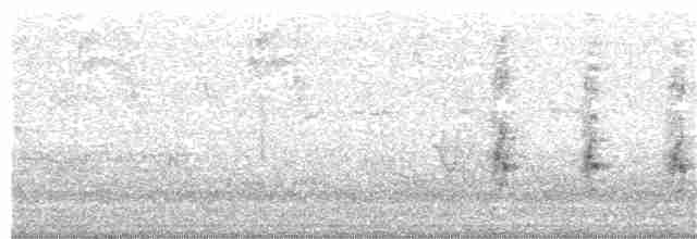 chřástal virginský (ssp. limicola/friedmanni) - ML235049231