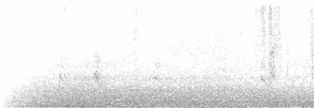 indianerspett (villosus gr.) - ML235070951