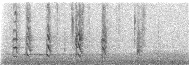 Sert Tüylü Ağaçkakan [villosus grubu] - ML235071231