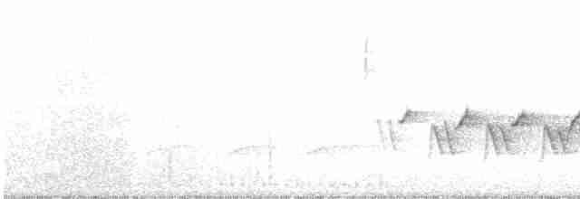 Kentucky Warbler - ML235101431
