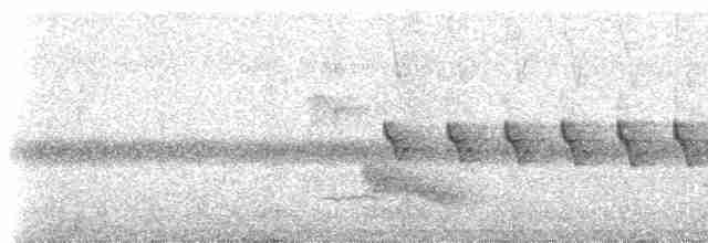 カオジロブユムシクイ（parvirostris） - ML235131