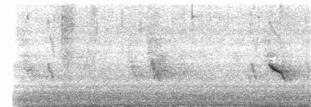 gulbrynkjernebiter (type 1) - ML235175151