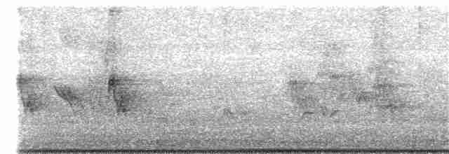Evening Grosbeak (type 1) - ML235175931
