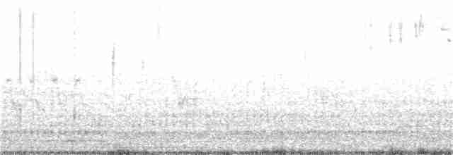 Кузнечиковая овсянка-барсучок - ML235176281