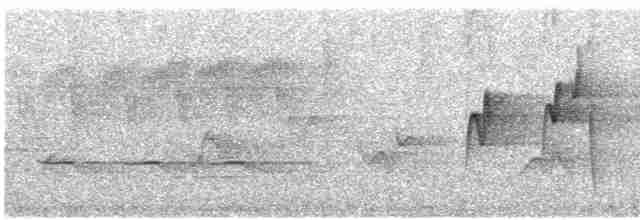 Acadian Flycatcher - ML235202511