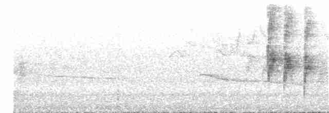 hvitnakkeskjære - ML235209321