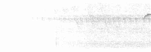 Uzun Gagalı Çıtkuşu - ML235222261