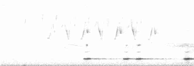 Ошейниковый сычик - ML235232511