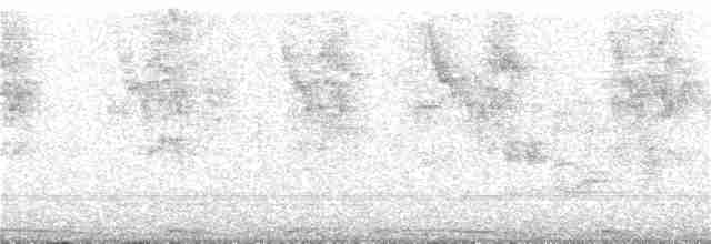 Common Redstart (Ehrenberg's) - ML235242931