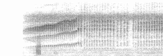 Spot-breasted Wren - ML235244581