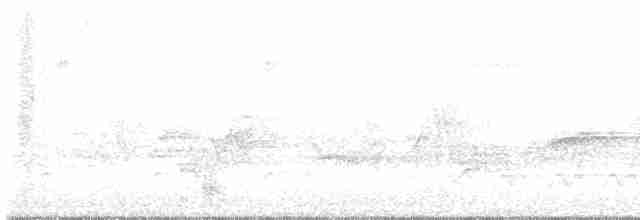 Cerulean Warbler - ML235277411