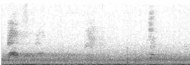 Black-crowned Night Heron - ML235288151