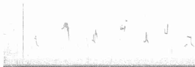 Horned Lark (Western rufous Group) - ML235298911
