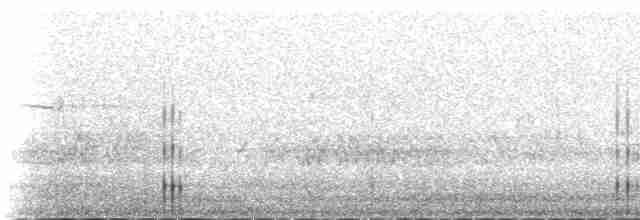 rødvingetrost (coburni) - ML235330
