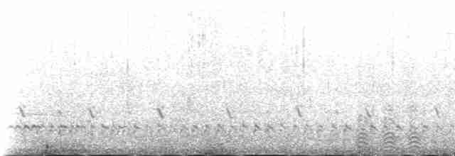 Морская чайка - ML235345