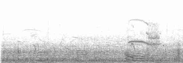 フルマカモメ（glacialis／auduboni） - ML235385