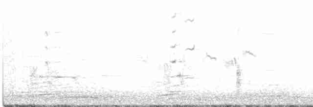 Black-throated Gray Warbler - ML235428601