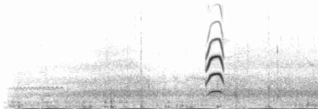 Black-tailed Godwit (islandica) - ML235447