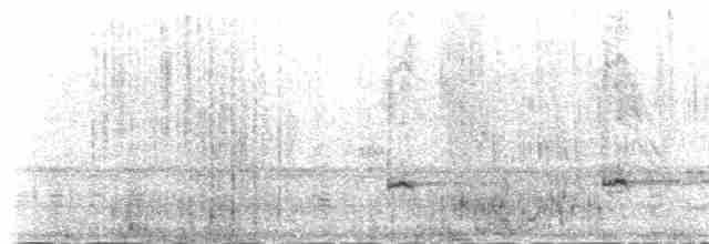 Common Redpoll (rostrata/islandica) - ML235460